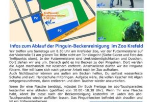 Reinigung Pinguin Becken Krefelder Zoo 2022