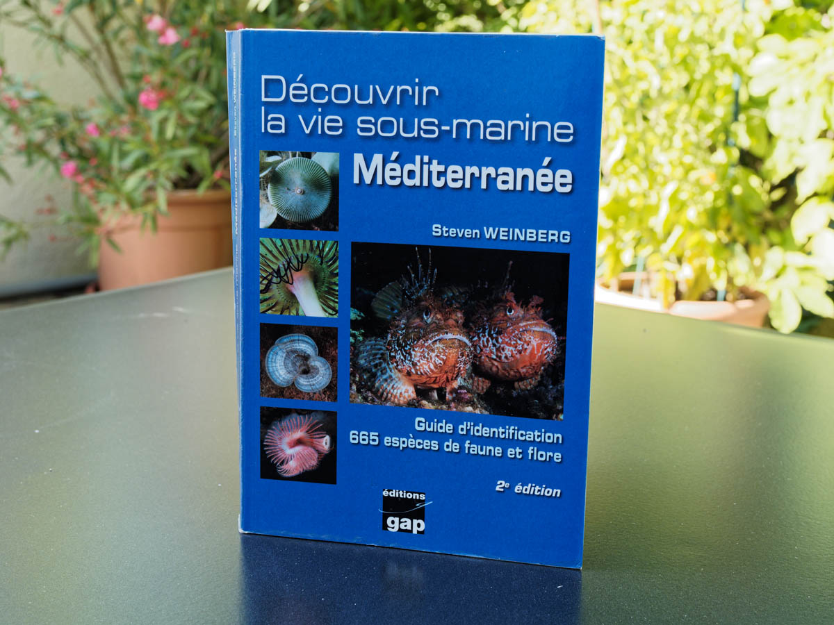 Découvrir la vie sous-marine Méditerranée