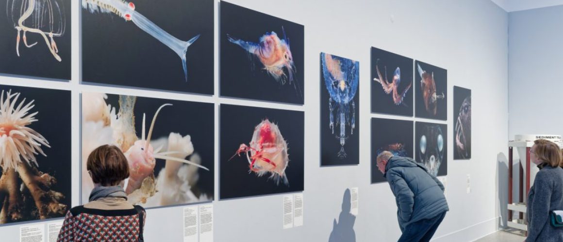 Ausstellung EXPEDITION WELTMEERE – eine Enttäuschung